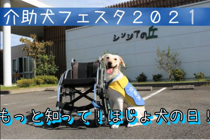 日本介助犬協会、「介助犬フェスタ2021」をYouTubeにて開催…5月22日「ほじょ犬の日」 画像