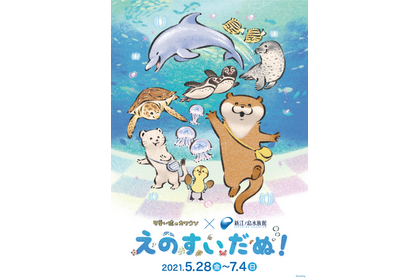 「可愛い嘘のカワウソ」× 新江ノ島水族館のコラボ特別企画「えのすいだぬ！」開催…5月28日～7月4日 画像