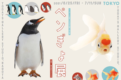 ペンギンと金魚の合同写真展・イラスト物販展「ペンぎょ展 2021」、東京と名古屋で開催 画像