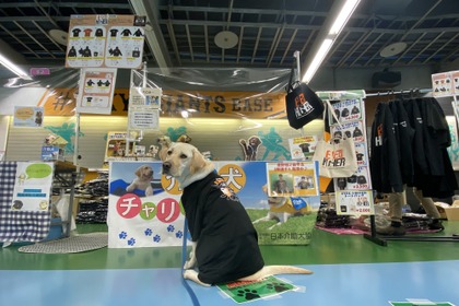 日本介助犬協会、読売ジャイアンツ球場に介助犬ブースを初出展…6月19日・20日 画像