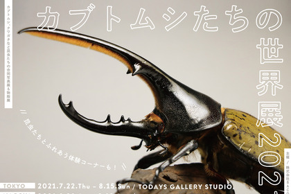 昆虫たちの合同写真展＆物販展「カブトムシたちの世界展 2021」開催…7月22日～8月15日 画像