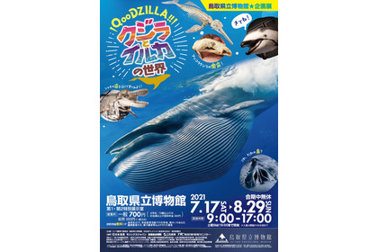 企画展 「QooDZILLA！！ クジラとイルカの世界」、鳥取県立博物館にて開催…7月17日～8月29日 画像