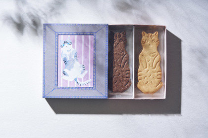 「LetterBOX cat cookie」発売、ミュージシャン・坂本美雨氏の猫がモチーフ…パッケージはリユース可能 画像