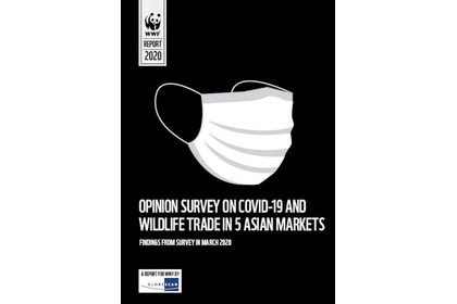 WWF、新型コロナと野生生物の取引市場に関する意識調査結果を公開 画像