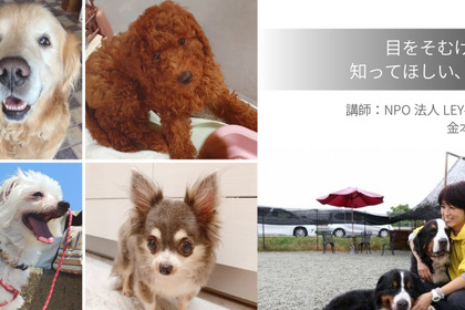 シャープ、オンラインセミナー「目をそむけないで知ってほしい、犬の事」を開催…7月10日 画像