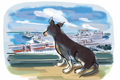 ハイアット リージェンシー 大阪、愛犬との宿泊プラン「愛犬とベイエリアでの休日」を発売 画像