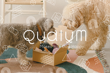犬用おもちゃ・おやつの定期便、サブスクサービス「Qualum」が提供開始…売上の一部を寄付 画像