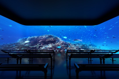 DMMかりゆし水族館、光・音・映像の空間演出をリニューアル…オープン1周年 画像