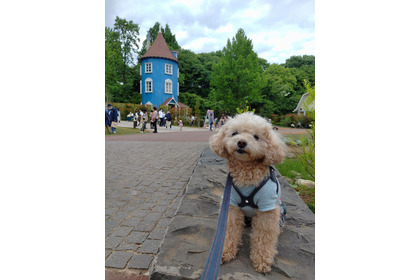 愛犬と一緒に川越小江戸＆ムーミンバレーパークを訪れる日帰りバスツアー開催…9月5日 画像