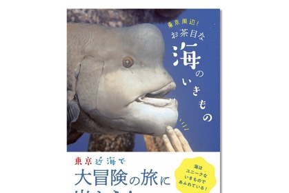 『東京周辺！お茶目な海のいきもの』、ビジネス社より刊行 画像
