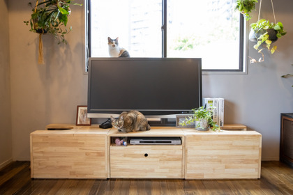 家具ブランド「NY&」、“TVボードにもなる猫トイレカバー”を発売 画像