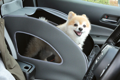 ホンダアクセス、「第7回 アウトドアドッグフェスタ in 八ヶ岳」に出展…愛犬用アクセサリーを装着した車両を展示 画像