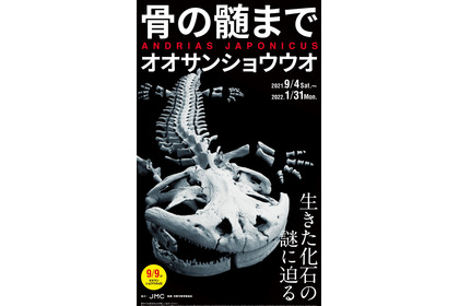 京都水族館、「骨の髄までオオサンショウウオ」を開催…22年1月31日まで 画像