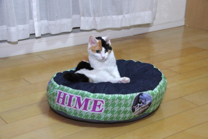 愛猫の写真をプリントできる「羽毛のラウンドベッド」の受注生産を開始…日本羽毛製造 画像
