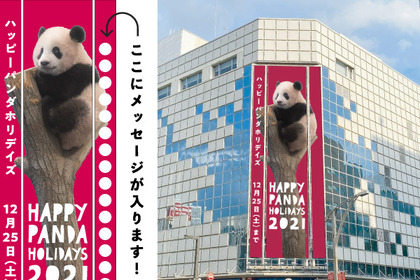 松坂屋上野店、上野動物園のパンダへのメッセージを募集…11月21日まで 画像