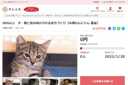 沖縄県糸満市とさとふる、犬や猫の不妊・去勢手術費用を一部補助するためのクラウドファンディングを開始 画像
