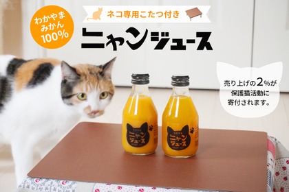 猫専用こたつがセット、和歌山みかん果汁100％の「ニャンジュース」…売上の2％を保護猫活動の支援へ 画像