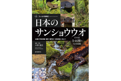 日本に生息する全46種を掲載した『日本のサンショウウオ』、誠文堂新光社より刊行…12月7日 画像