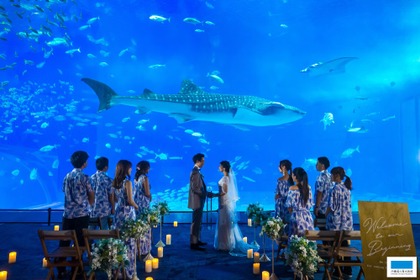 沖縄美ら海水族館でのリゾートウェディングサービス開始…12月11日から 画像