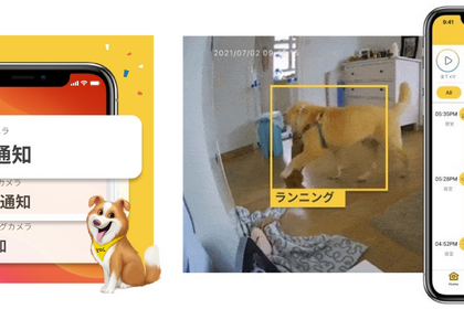 外出先から愛犬の走る・噛む・トイレがわかる、「Furbo ドッグシッター」に新機能…ベータ版公開 画像