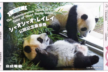 上野動物園の双子パンダ「シャオシャオ・レイレイ公開記念企画」実施…京成電鉄 画像