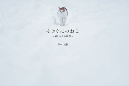 雪国を生き抜く猫たちの写真集、『ゆきぐにのねこ ～猫と人々の四季～』 画像