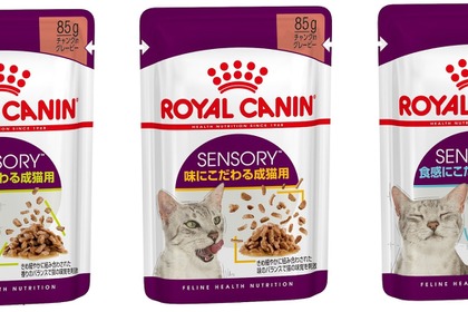 ロイヤルカナン、3つの感覚で猫の食欲を刺激する総合栄養食「FHN ウェット センサリー」を発売…1月21日 画像