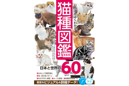 『いちばんよくわかる猫種図鑑 日本と世界の60種』刊行…日常のケアや豆知識も紹介 画像