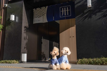 MIMARU東京 上野EAST、愛犬と一緒に泊まれる「ドッグフレンドリールーム」をリニューアル 画像