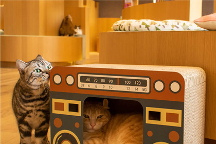 テレビやラジオ、昭和レトロデザインの猫用爪とぎ「バリバリハウスシリーズ」発売 画像