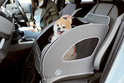 Honda Dog、 「インターペット2022」に出展…愛犬用アクセサリーを装着したN-BOX カスタムを展示 画像