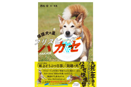 『保護犬の星　フリスビー犬ハカセ』、ハート出版より刊行 画像