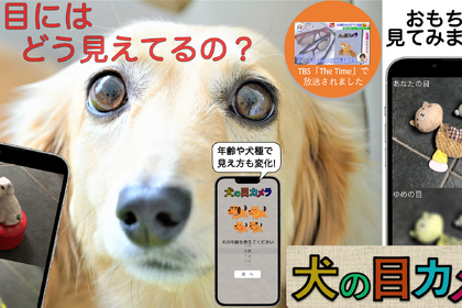 犬の視覚を疑似体験できるスマホアプリ「犬の目カメラ」Android版リリース 画像