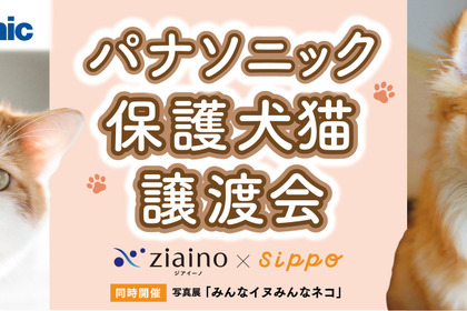 「パナソニック保護犬猫譲渡会」、東京・有明で開催…4月29日・30日 画像
