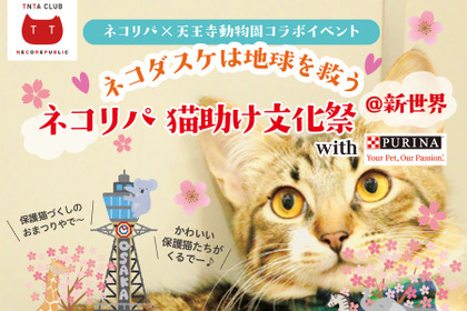「ネコリパ猫助け文化祭」大阪・新世界にて開催、セミナー配信も…4月16日 画像