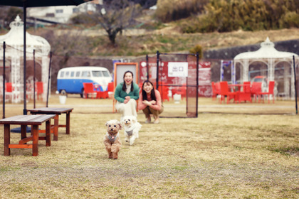 「のじまスコーラ ドッグフェス」開催、愛犬と楽しめるゲームやマルシェなど…4月24日 画像