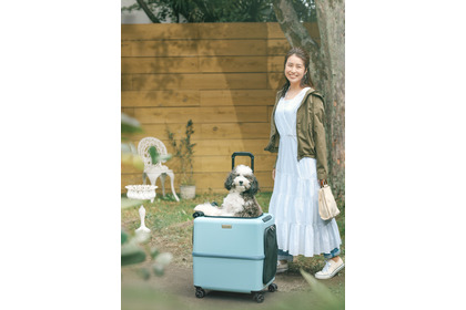 スーツケースメーカー発のペットキャリーがイオンレイクタウン内で期間限定販売…PETiCO 画像