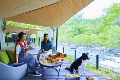 星野リゾート 奥入瀬渓流ホテル、愛犬と宿泊＆露天風呂を楽しめる特別プランを提供 画像