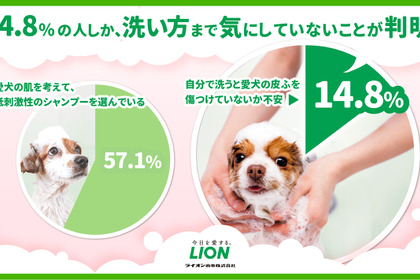 愛犬のシャンプー、洗い方を気にしている飼い主は15％弱…ライオン調べ 画像