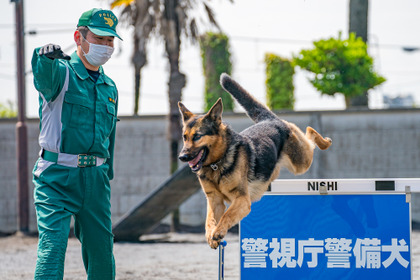 【働く犬たち】警備犬編…犯人制圧や災害救助など幅広い任務をこなす［インタビュー］ 画像