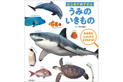 『はじめてのずかん うみのいきもの』刊行、多様な海の生き物を紹介…高橋書店 画像