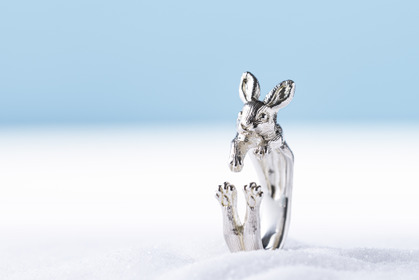 旭山動物園のエゾユキウサギをモチーフにしたジュエリーが発売…ヴァンドーム 画像