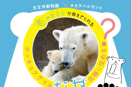 ホッキョクグマの“毛のヒミツ”を解説、天王寺動物園で無料セミナー開催…7月21日 画像