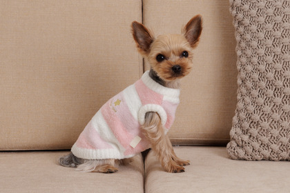 肌触りと伸縮性にこだわった犬用ウェア「ふわふわルームウェア」発売…イオンペット 画像