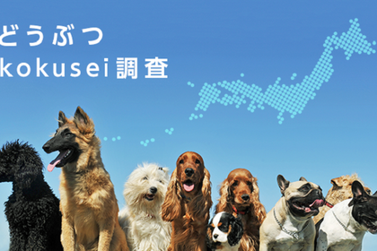 アニコム、犬の健康寿命延伸を目的とした「どうぶつkokusei調査」の結果を発表 画像