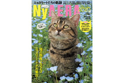 AERAの猫特集増刊「NyAERA」発売、表紙は動物写真家・岩合光昭さん撮影 画像