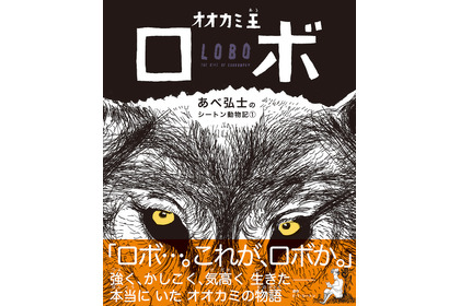 学研プラス、あべ弘士のシートン動物記第1弾「オオカミ王ロボ」を刊行…7月2日 画像