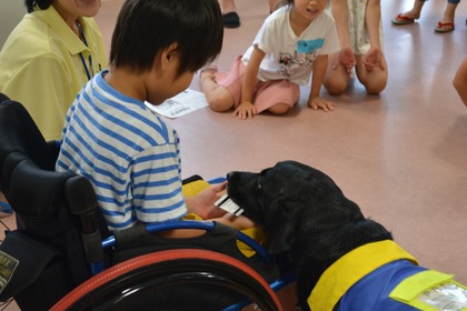 日本介助犬協会、小・中学生向けにWEBにて介助犬教室を開催…8月 画像