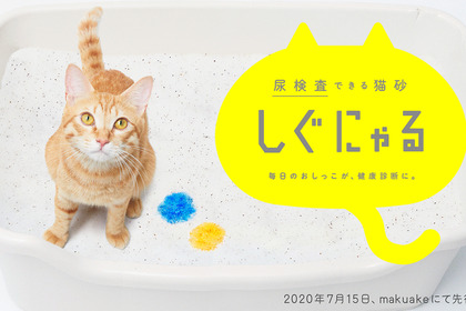 スリーズ、尿の状態により5色に変化する猫砂「しぐにゃる」の先行販売を開始 画像