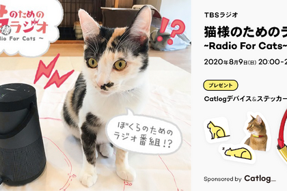 TBSラジオ「猫様のためのラジオ～Radio For Cats」をCatlogがサポート…8月9日20時放送 画像